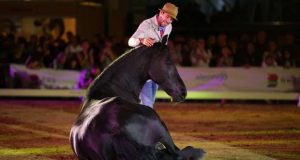 Cavalo Lusitano foi estrela na RuralBeja
