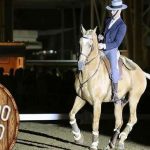 RuralBeja anima o Baixo Alentejo no Fim de Semana