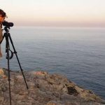 Recorde de Visitantes no Festival de Observação de Aves