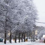 Sugestões de viagem para a época natalícia