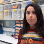 Efeitos dos pesticidas agrícolas nos organismos marinhos