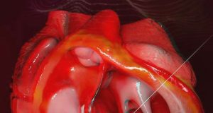 Gema Digital apresenta "A Journey to the Heart" no IFF’17