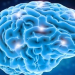 Fundação Grünenthal distingue investigadora portuguesa