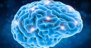 Fundação Grünenthal distingue investigadora portuguesa