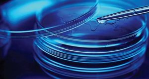 9ª edição do prémio "Angelini University Award"