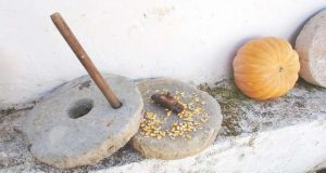 Conferência sobre Dieta Mediterrânica no Centro Unesco em Beja