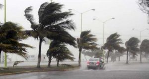 Equipa da Allianz Portugal apoia vitimas do mau tempo