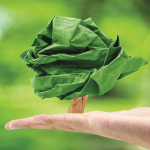 Transdev patrocina reflorestação de áreas ardidas