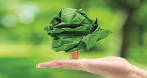 Transdev patrocina reflorestação de áreas ardidas