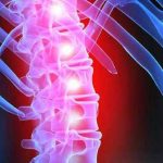 VII Congresso Nacional de Patologia da Coluna Vertebral