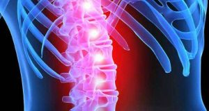 VII Congresso Nacional de Patologia da Coluna Vertebral