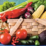 Sessão de Alimentação Saudável e Acessível em Castro Marim