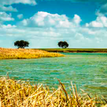 Construção do Parque Fluvial Cinco Reis em Beja