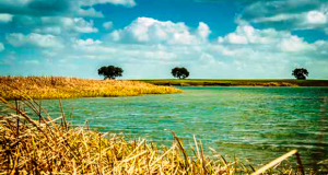Construção do Parque Fluvial Cinco Reis em Beja