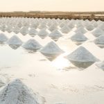 Sal de Aveiro promove modelo de negócios para as marinhas