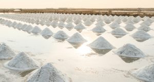 Sal de Aveiro promove modelo de negócios para as marinhas