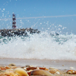 Candidaturas abertas para a 2ª edição do Tourism Explorers
