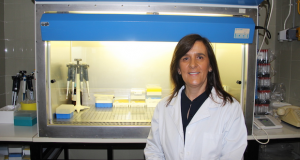 O potencial do extrato de morangueiro selvagem