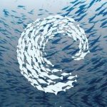 Concurso de Ideias de Negócio do Projeto Platicemar