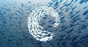 Concurso de Ideias de Negócio do Projeto Platicemar