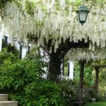 Projeto pioneiro de educação artística em Famalicão