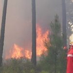 Pão com manteiga para os Bombeiros no combate aos fogos