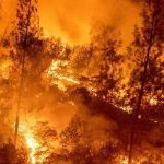 APROSOC analisa a Intervenção e Coordenação em Monchique