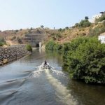 Limpeza da Ribeira de Odeleite em Castro Marim