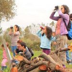 EuroBirdwatch - fim de semana europeu de observação de aves