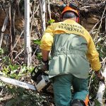 Lagos cede instalação para prevenção de Incêndios Florestais