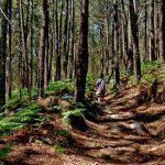 2ª Edição da ALUT - Algarviana Ultra Trail