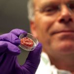 Série Documental sobre a alimentação do futuro no ODISSEIA