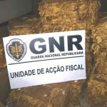 GNR apreende carregamento de tabaco em folha