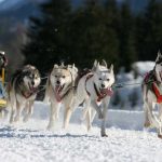 Destinos de neve para uma escapada no fim de semana