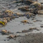 PAN defende a Prevenção da Contaminação dos Solos