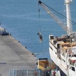 Nova regulamentação europeia sobre transporte de animais