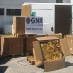 A GNR de Setúbal apreende 1280 kilos de tabaco