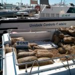 GNR de Olhão apreende 3 toneladas de berbigão juvenil