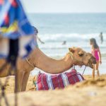 Férias em destinos fantásticos pagos pelo retorno do IRS