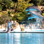 O Algarve afirma-se como bom destino para casar