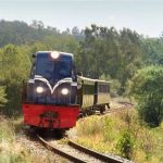 CP: Comboio Histórico do Vouga aos Sábados