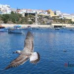 4ª edição da Feira do Mar e Tasquinhas em Sines