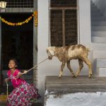 Inaugurada em Guimarães a exposição "Terra de Sonhos"