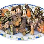 VIII Festival do Perceve de Vila do Bispo