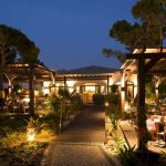 Programa especial de Natal e Fim de Ano no Pine Cliffs