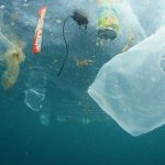 Plastic in the oceans