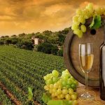 IV Jornadas de Enoturismo de Lagoa no Algarve