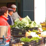 Reabertura dos Mercados de Palmela e Pinhal Novo