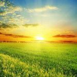 CBRE anuncia o novo departamento Agribusiness