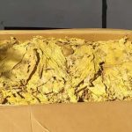 GNR apreende em Leiria 100Kgs de folha de tabaco